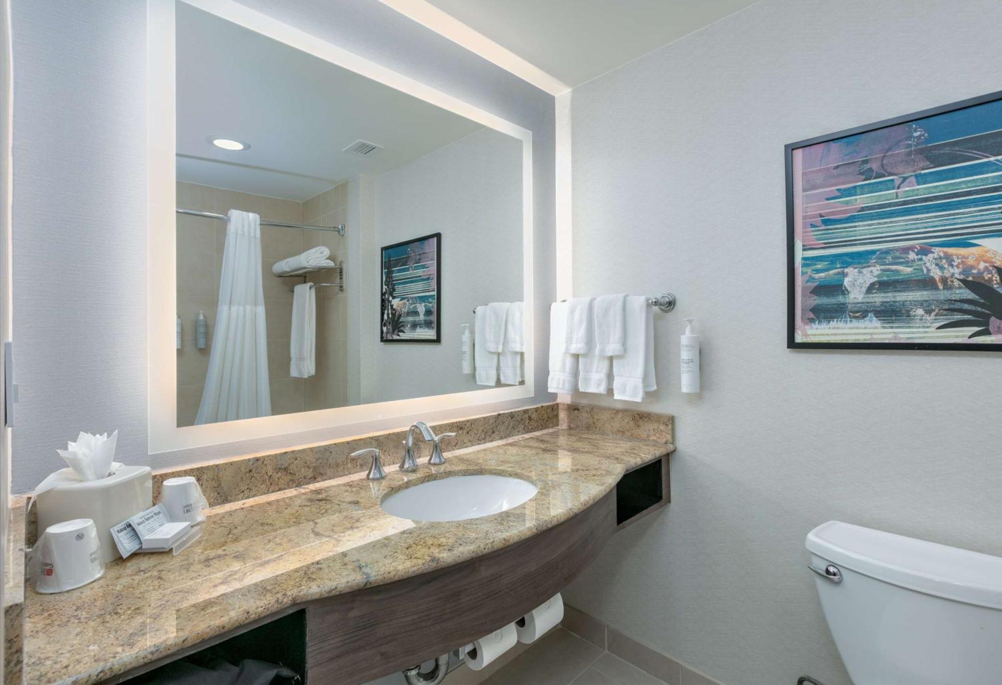 Hilton Garden Inn Dallas Arlington Exterior photo